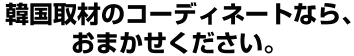 韓国取材のコーディネートなら、おまかせください。